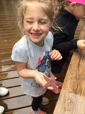 Touch tank with a sea star