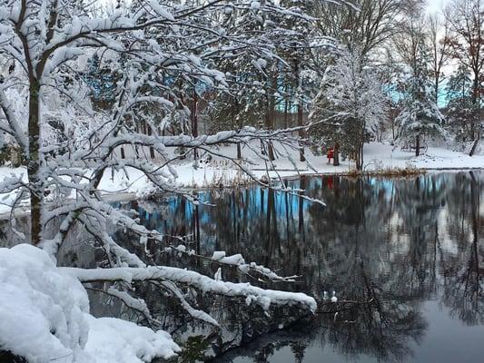 Winter scenes at Someday Farm.