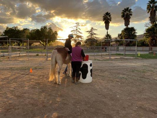 Partners Therapeutic Horsemanship