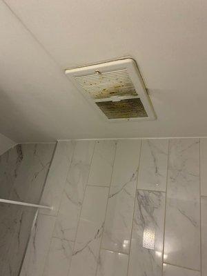 Bathroom fan vent