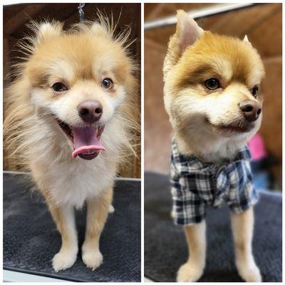 Before  & After Smokey  spa day