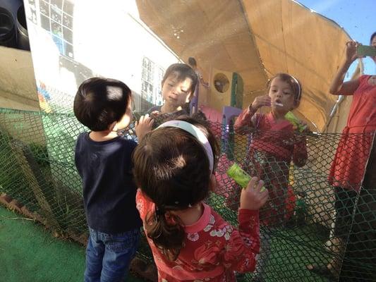 Blowing bubbles in the backyard