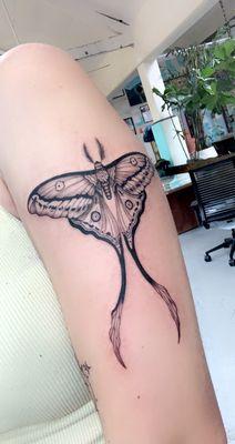 Moth tattoo done by Mike