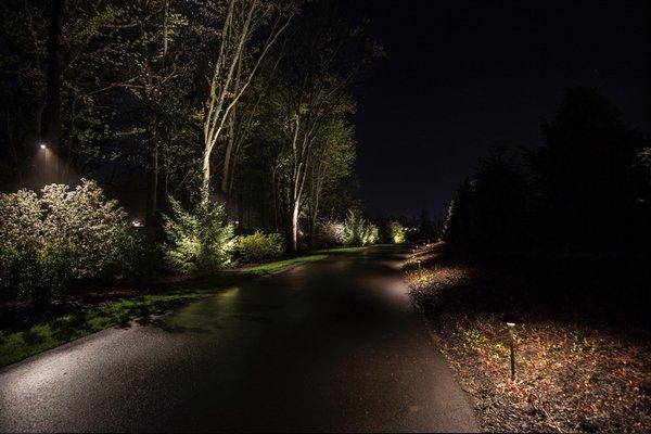 Illuminate your driveway through landscape lighting!