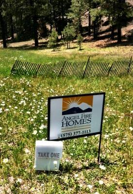 Angel Fire Homes