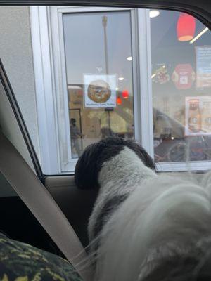 Rudy had to come back for more dog biscuits, while I had to get myself a blueberry donut! Donut was too good to get a picture before hand!