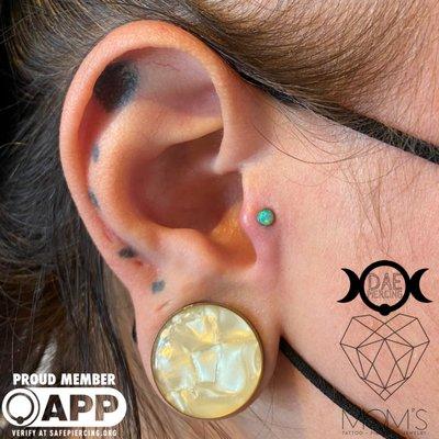 Tragus Piercing w/ Titanium NeoMetal Opal by Dae.