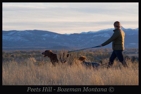 Bozeman's Main Street to the Mountains trail system connects many miles of relaxing trails, dog parks and more.