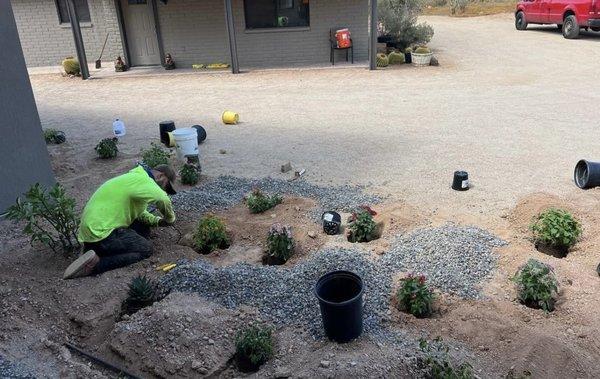 Different plants connected to water line