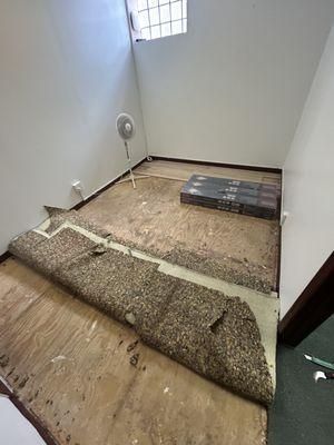 Painting, carpet removal, flooring installation