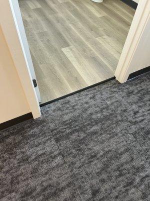 Shaw carpet tile with Gaia luxury vinyl planks in a commercial setting