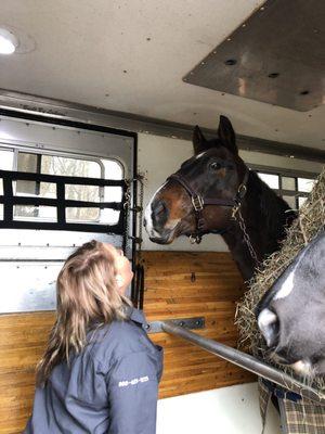 Cheyenne truly loves horses and cares for their safety as i do.