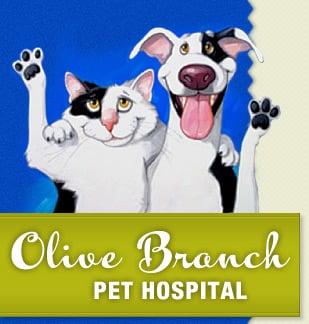 Olive Branch Pet Hospital