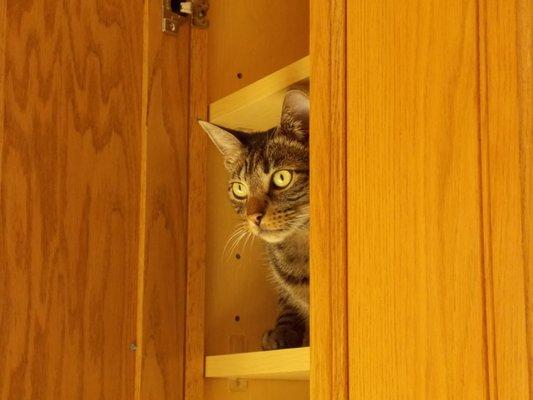 Cupboard inspection, check!