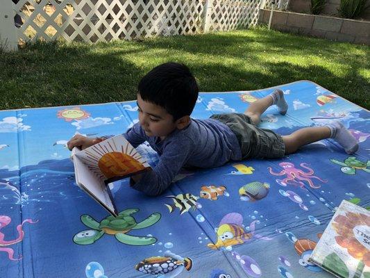 Reading in the natural light under the tree shade.