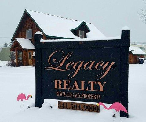 Legacy's Pink Flamingo Vacation Giveaway