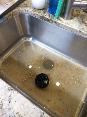 So gross!   I was running the garbage disposal, and suddenly, water & ground-up food backed up into the sink. Ari Plumbing fixed it!