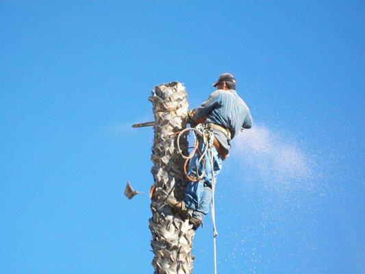 BKM Tree Service