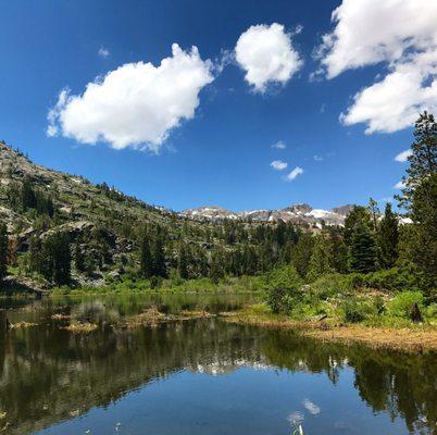 Lily Pond Lake