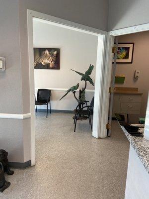 Inside the clinic