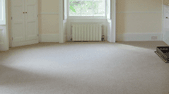 Carpet Cleaning Service