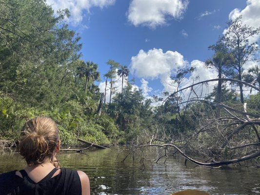 Interesting paddling areas off the intracoastal