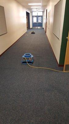 Drying out a carpet from a water loss