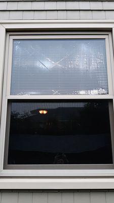 "X" pattern is between window panes, likely from assembly line and appears when window seal fails. Harvey doesn't see it that way. I do!!