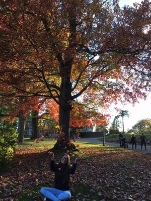 My favorite park in autumn !