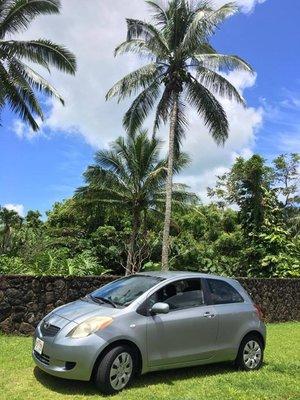 2008 Toyota Yaris. Cute, punchy, and just what I needed.