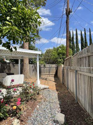 Huge pepper tree was removed