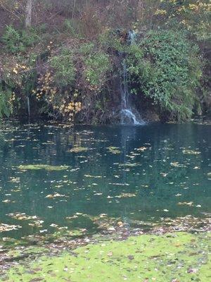 The spring fed cool pool that has a huge rope swing