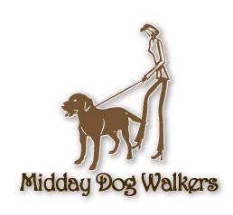 Midday Dog Walkers