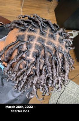 My starter locs