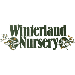 Winterland Nursery