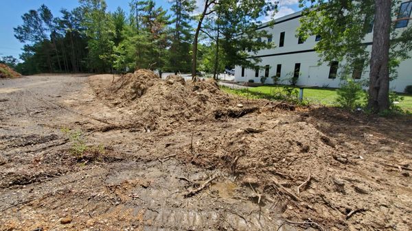 Unfinished tree and parking lot service