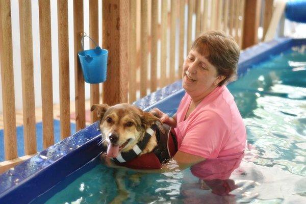 Canine Hydrotherapy in senior dogs for pain relief