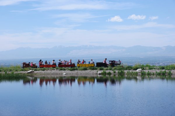 Mini Train Rides