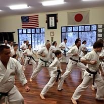 Traditional Japanese karate