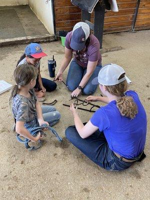 Horsemanship classes offered to learn more about horses!