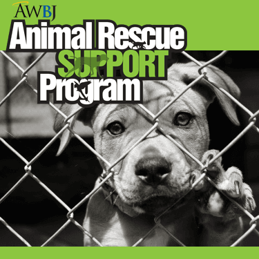 AWBJ aggressively assist animal rescue and shelter within the San Gabriel Valley/Los Angeles County by providing needed supplies