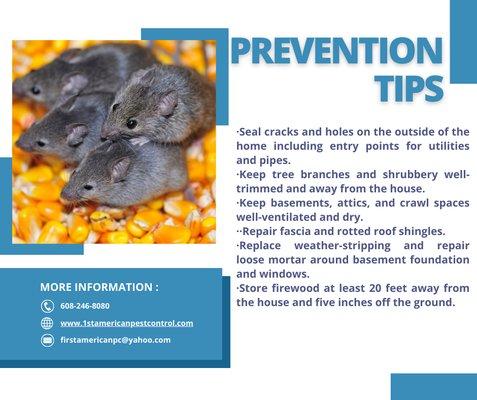 Rodent prevention