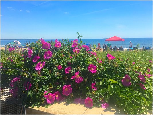 Our Beautiful view from our room. In June.