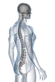 Spine Health Care Your Charleston Health