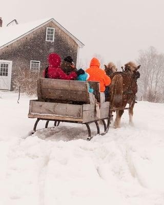 Burgess Tree Farm