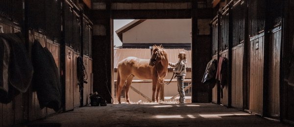 Old Glory Ranch