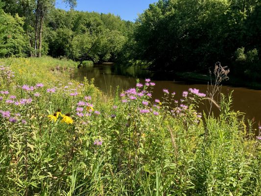 Streambank and shoreline restoration