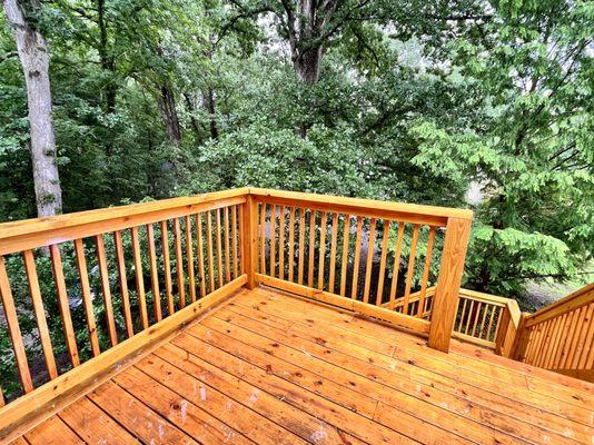 40A Tree top deck with full summer foliage.