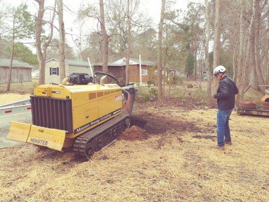 Stump Grinding Removal Specialist