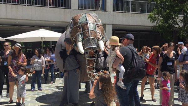 Elephant makes his grand entrance in the courtyard